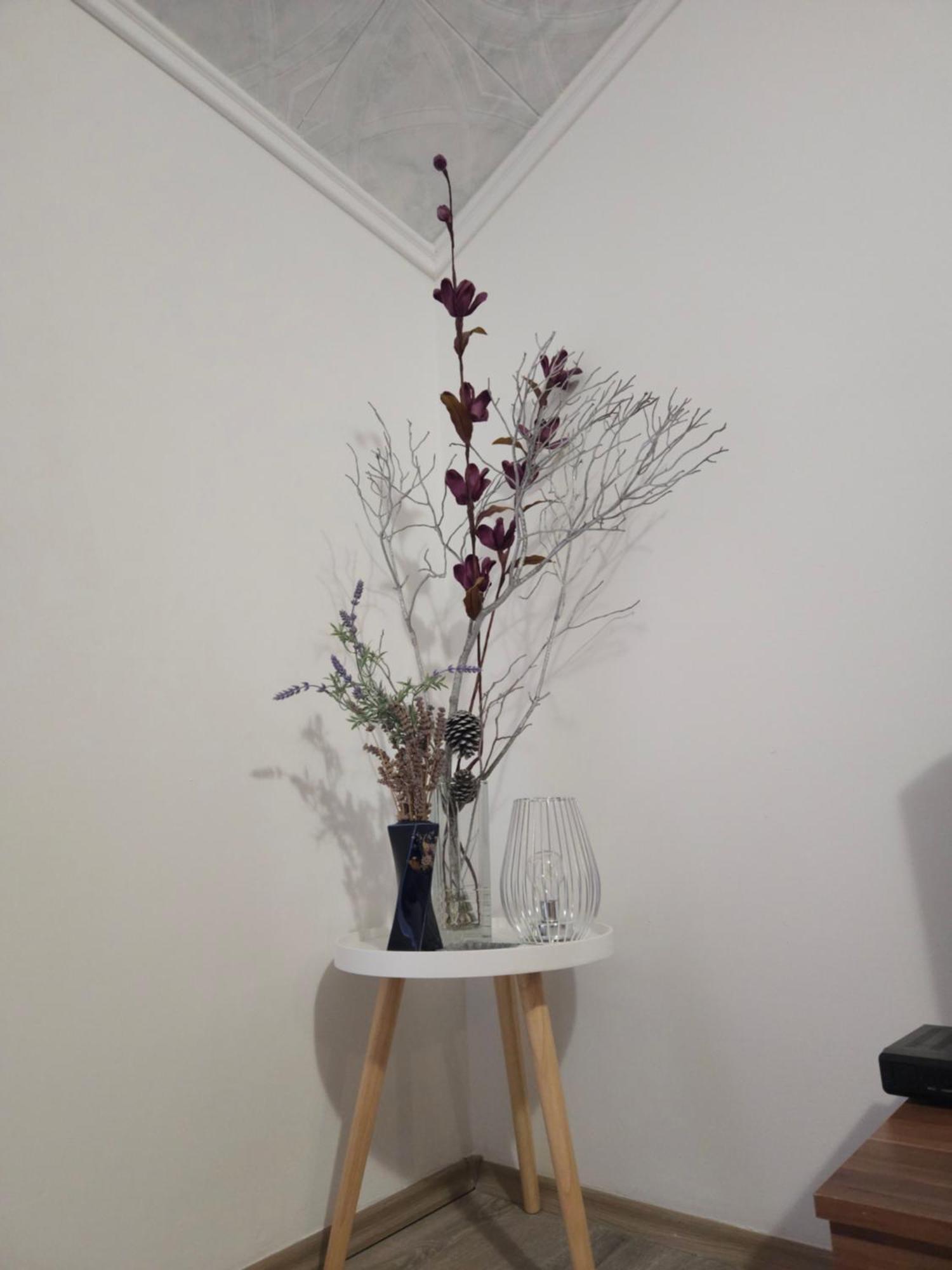 Apartments Rustika Toscana โวดีเซ ภายนอก รูปภาพ
